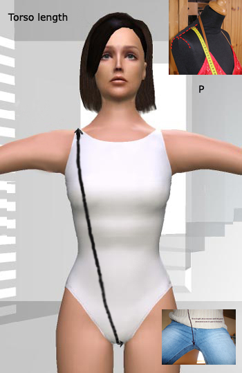torso_size torso_size